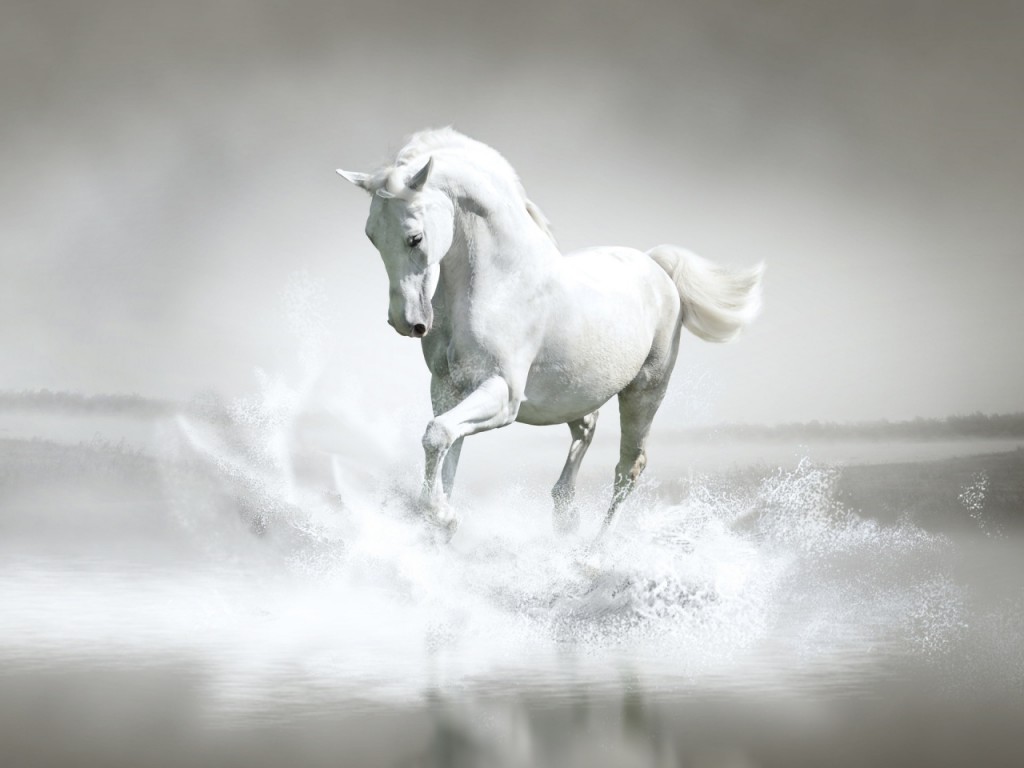 White-Horse-Water-1280x960
