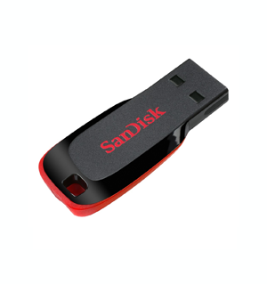 Sandisk 64GB Flash Drive