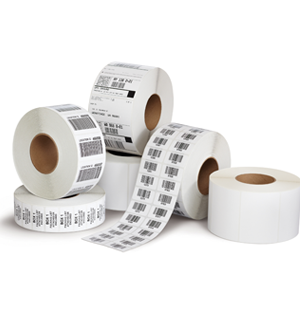 Paper Rolls for Epson Impact Printers
