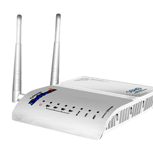 Cyberoam Netgenie Soho Wireless Router(NG11VO)