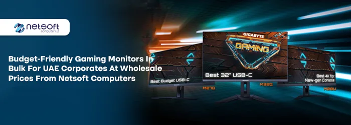 Budget-Friendly Gaming Monitors in UAE